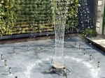 نازل کرون